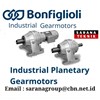industrial planetary gear motors