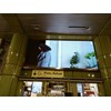 led videotron digital-1