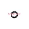 cummins 3015067 seal o-ring 3002369 - kta19 qsk19