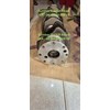 cummins 3073707 crankshaft - m11 ism qsm