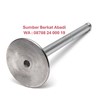 perkins 31431981 valve inlet - genuine