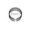 cummins 4955366 ring piston set - 1 kotak isi 3 ring - untuk 1 piston