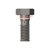 cummins 3282141 banjo connector screw