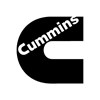 cummins 3056569 3036937 3017040 ar45005 ar 45005 ar-45005 lever cam