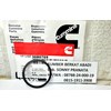 cummins 3080769 rectangular ring seal-1