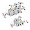 5 manifolds pipe fitting & valves-5