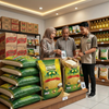 🌾 [anti ambyar] plastik beras 5kg tebal & kuat – kemasan premium anti