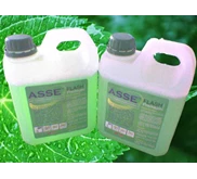 ASSE Flash