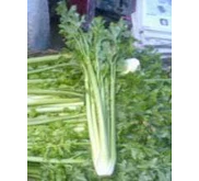 Cellery Stick/White cellery (Seledri Batang)