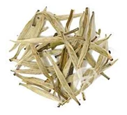 WHITE TEA