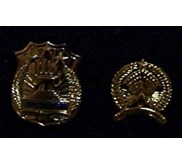 PIN
