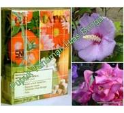 Pupuk ( 20 Pack) Gramafix® Tanaman Hias Bunga [ Tahiba ]