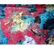 Silk Burn Out Print