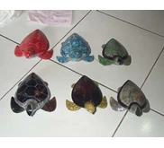 turtle shell