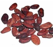 Biji Kakao/Biji Coklat/Cocoa Bean
