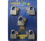 Master Key Padlock