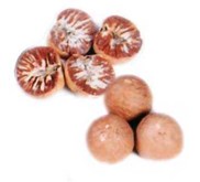 Betelnuts, Arecanuts, Supari or Pinang