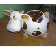 aromaterapy model sapi