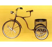 sepeda keranjang/ sepeda roda tiga/ sepeda antik/ sepeda basket ball