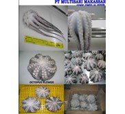 FROZEN OCTOPUS