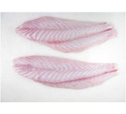 FROZEN GROUPER FILLET