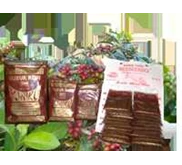 Kopi Bubuk