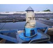 BIOGAS PIPELINE