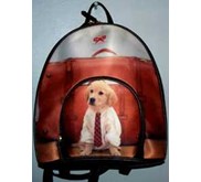 BackPack - SalesDog
