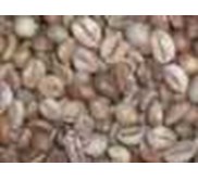 * * * * * SUPPLIER KOPI ARABIKA DAN KOPI ROBUSTA* * * * *
