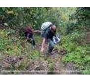 TREKKING