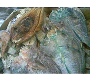 Ikan Boki Asin (kk tua) Super