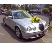 jaguar type s