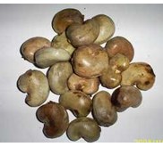 * * * * * SUPPLIER BIJI JAMBU METE / CASHEW NUT* * * * *