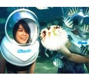 SEA WALKER, JALAN-JALAN DI DASAR LAUT SAMPAI KEDALAMAN 8 METER