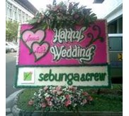 bunga papan