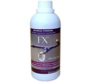FX