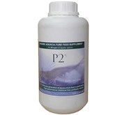 P2