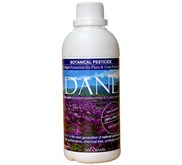 DANE