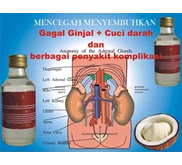 Menyembuhkan Gagal Ginjal
