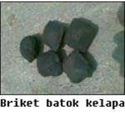 Briket Batok Kelapa model bulat telur