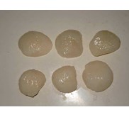 : daging scallop Kerang simping
