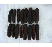 Sea Cucumber Sand Fish 2 / Teripang Ogai