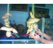 Ubi Cilembu
