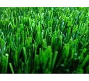 Monofilament Synthetic Grass