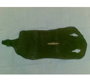 STINGRAY SKIN