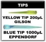 Micropipette Tips Blue / Yellow, Eppendorf / Gilson