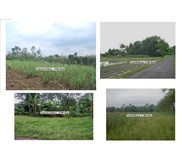 TANAH DIJUAL / LAND FOR SALE