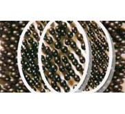 STEEL SHOT - SHOT BLASTING