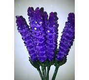 Bunga lavender mekar bawah