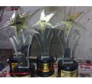 trophy bintang, piala, plakat, trophy, anugerah, kenang-kenangan, mencetak, membuat, menyediakan, berbagai maccam, piala, trophy, anugerah, kenang-kenangan dll